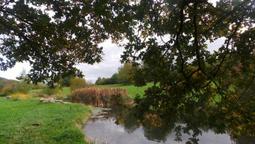 Картинка природа реки озера простор