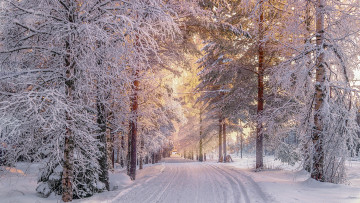 Картинка природа зима простор