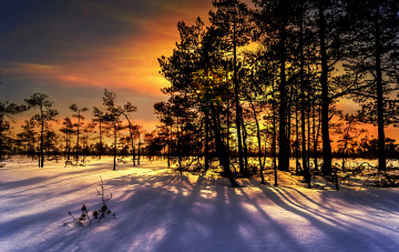 Картинка природа зима простор