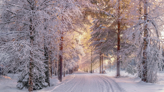 Обои картинки фото природа, зима, простор