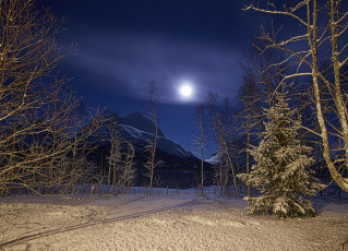 Картинка природа зима простор