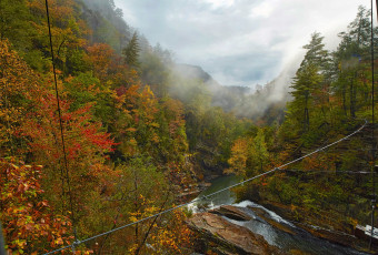 Картинка природа пейзажи простор