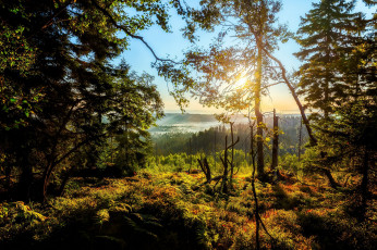 Картинка природа пейзажи простор