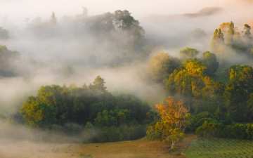 Картинка природа пейзажи простор