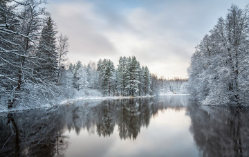 Картинка природа реки озера простор