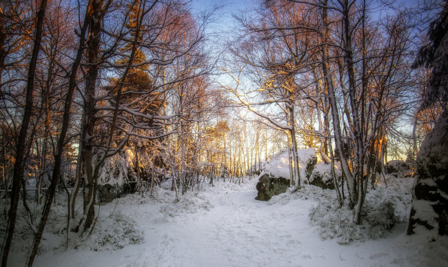 Обои картинки фото природа, зима, простор