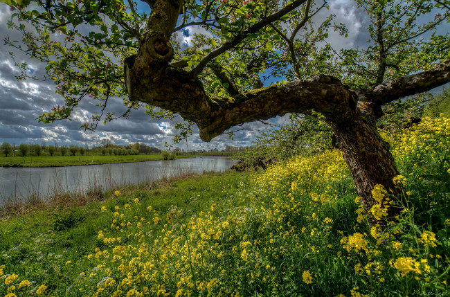 Обои картинки фото природа, луга, простор