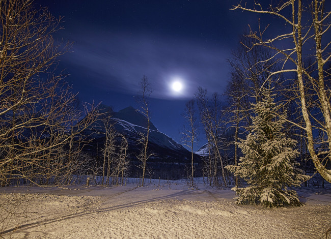 Обои картинки фото природа, зима, простор