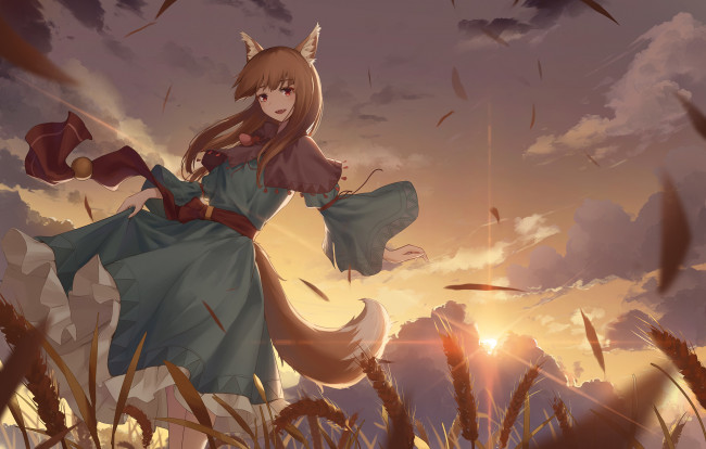Обои картинки фото аниме, spice and wolf, spice, and, wolf, волчица, и, пряности