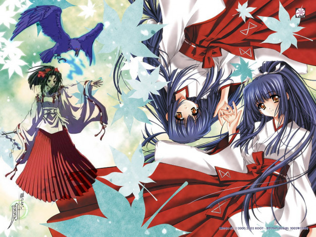 Обои картинки фото аниме, moonlight, lady