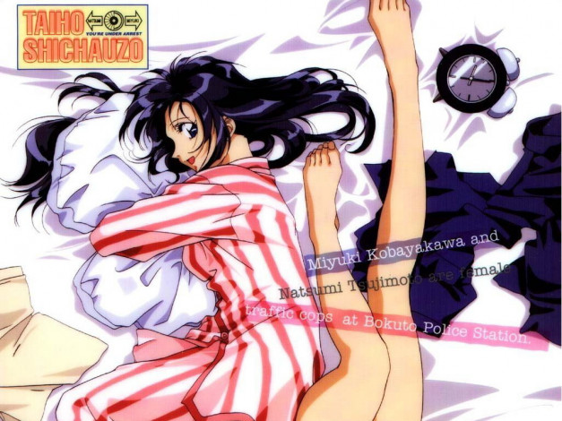 Обои картинки фото аниме, you`re, under, arrest