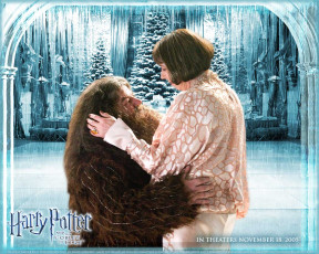 Картинка гарри поттер кубок огня кино фильмы harry potter the goblet of fire