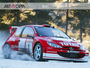 обоя спорт, авторалли