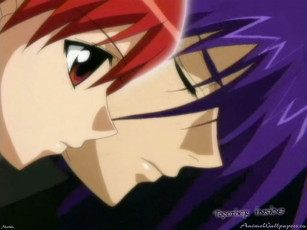 Картинка аниме angel