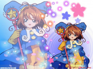 Картинка аниме card captor sakura