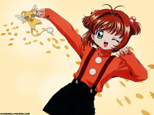 Картинка аниме card captor sakura