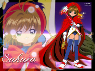 Картинка аниме card captor sakura
