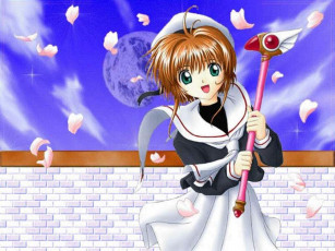 Картинка аниме card captor sakura