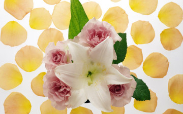 Картинка цветы разные вместе