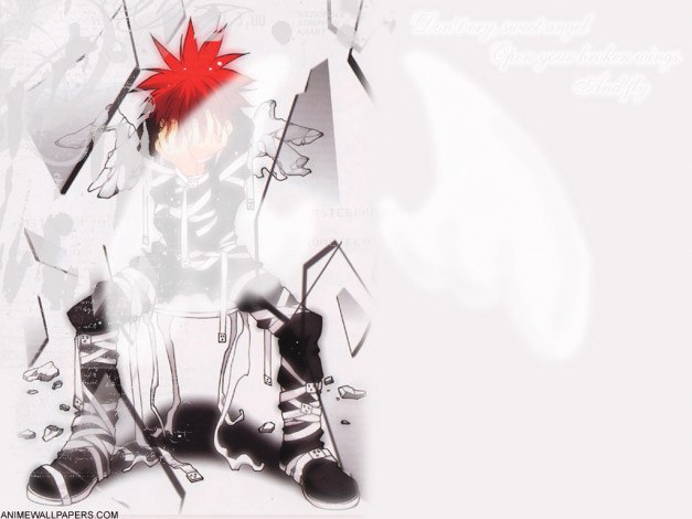 Обои картинки фото аниме, angel