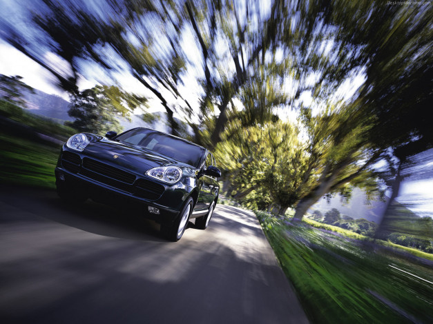 Обои картинки фото автомобили, porsche