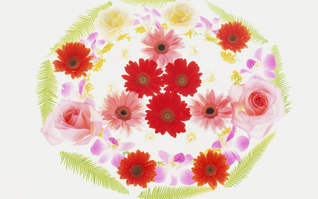 Обои картинки фото цветы, разные, вместе