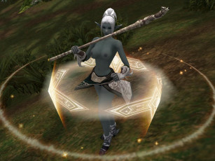 Картинка видео игры lineage ii