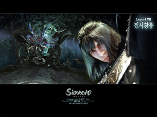 Картинка видео игры silkroad online