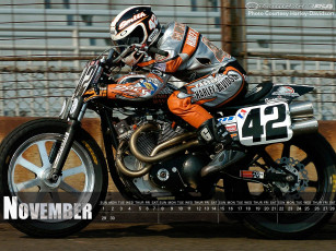 Картинка календари спорт