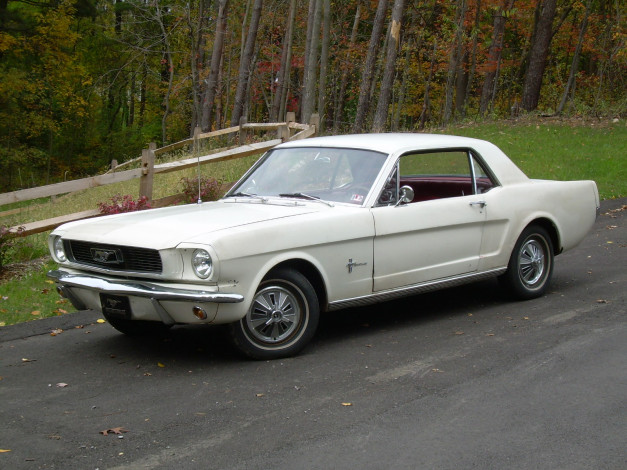 Обои картинки фото автомобили, mustang