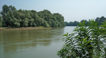 Картинка природа реки озера