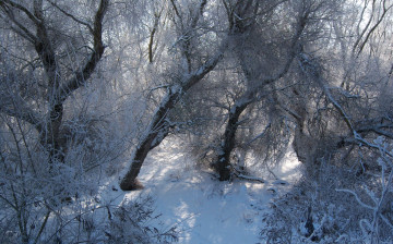 Картинка природа зима