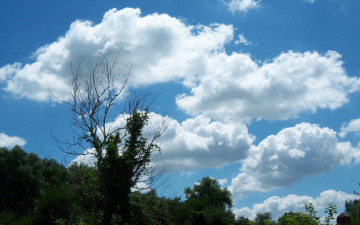 Картинка природа облака