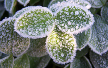 Картинка природа зима