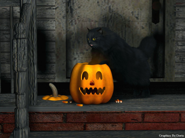 Обои картинки фото 3д, графика, holidays, праздники, тыква, кот