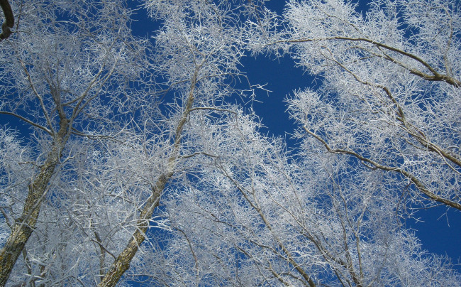 Обои картинки фото природа, зима