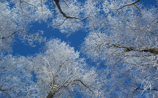 Обои картинки фото природа, зима