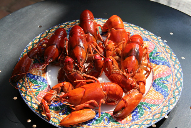 Обои картинки фото еда, рыба, морепродукты, суши, роллы, тарелка, раки