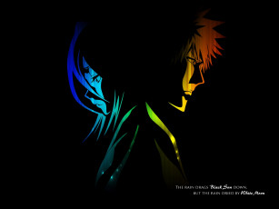 Картинка аниме bleach шинигами shinigami rukia kuchiki kurosaki ichigo