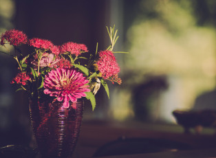 Картинка цветы букеты +композиции ваза цинния букет