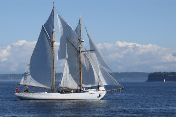 Картинка корабли парусники мачты море паруса