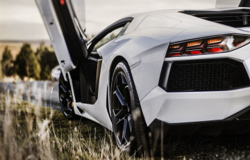 Картинка автомобили фрагменты+автомобиля lamborghini трава белый