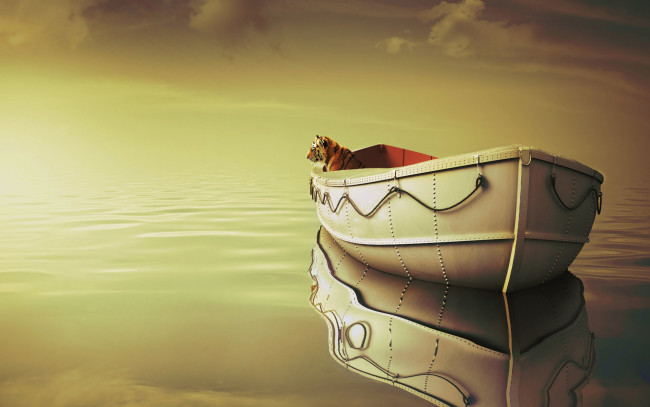Обои картинки фото кино фильмы, life of pi, life, of, pi