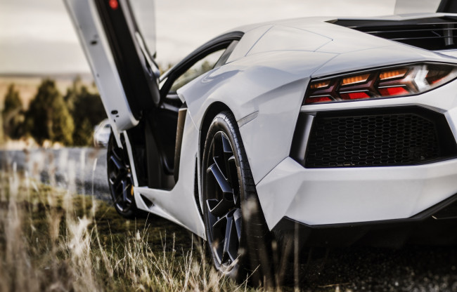 Обои картинки фото автомобили, фрагменты автомобиля, lamborghini, трава, белый