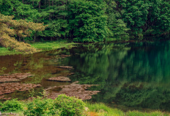 Картинка природа реки озера простор