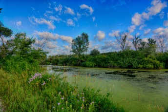 Картинка природа реки озера простор