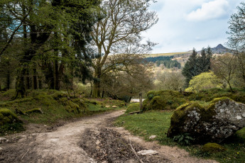 Картинка природа дороги простор