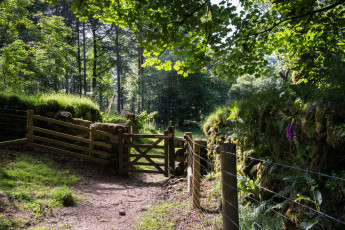 Картинка природа дороги простор