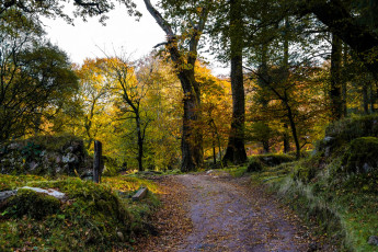 Картинка природа дороги простор