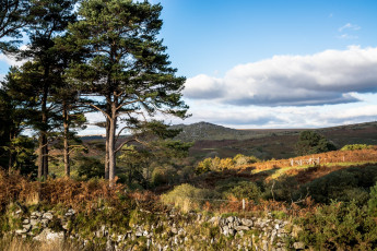 Картинка природа пейзажи простор